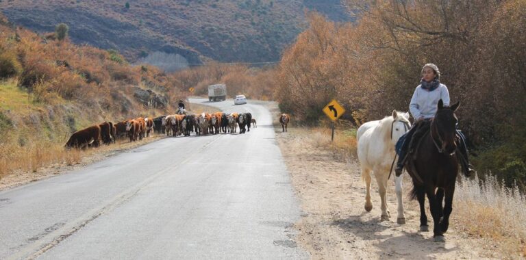 Provincias propusieron la emergencia nacional por sequía