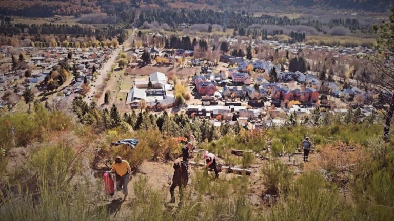 Los Radales: realizan nueva plantación de árboles nativos en área afectada por el incendio de 2018