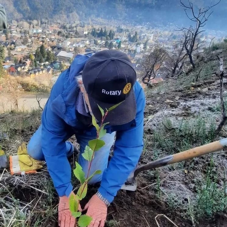 Plantaron 350 árboles en el Cerro Comandante Díaz