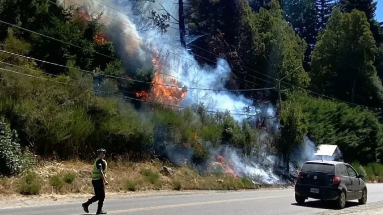 Tiró un cigarrillo encendido y causó un incendio forestal en Bariloche