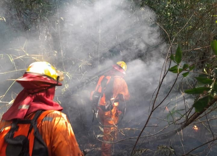 Insólito: prendió fuego para secar su ropa e inició un incendio forestal en Bariloche