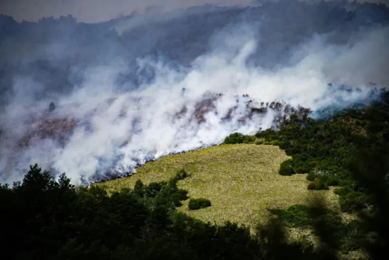 Presentarán un proyecto para que reciban penas no excarcelables quienes provoquen el fuego