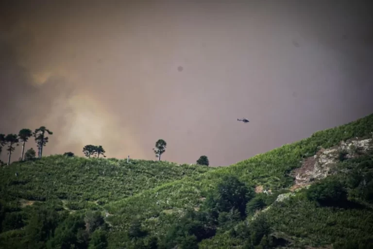 Incendio Valle Magdalena: se prioriza la seguridad de las comunidades cercanas