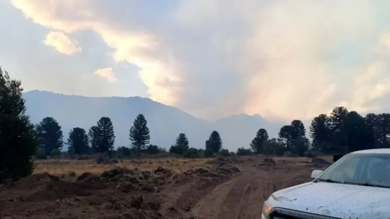 Vialidad Provincial en la lucha contra el incendio en el Parque Nacional Lanín