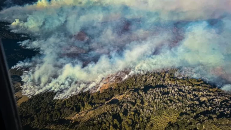 Trescientos brigadistas siguen combatiendo las llamas en Valle Magdalena