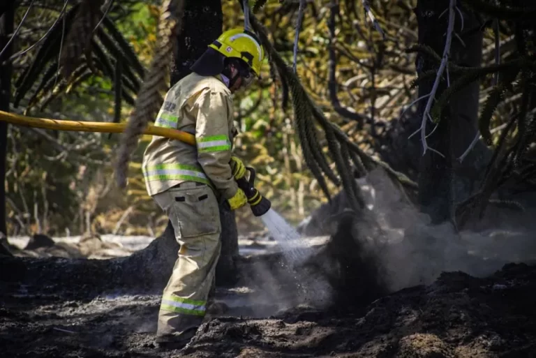 Prohibieron el uso de fuego dentro del Sistema Provincial de Áreas Naturales Protegidas