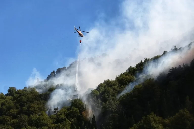 Desplegaron 57 brigadistas, tres helicópteros y dos aviones en proximidades de Aluminé