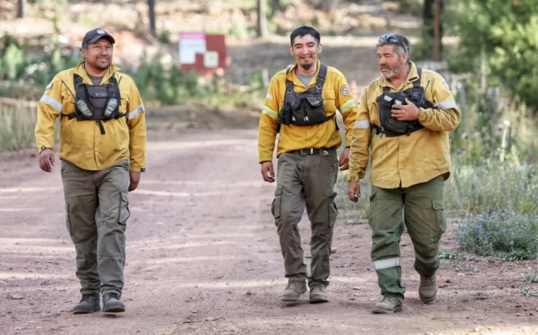 “Es un esfuerzo impresionante”, aseguró un brigadista desde Valle Magdalena