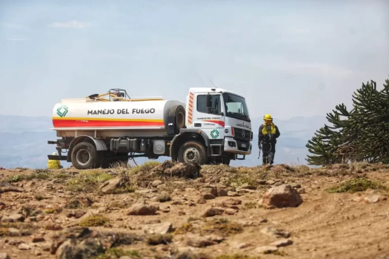 El incendio forestal desacelera su avance