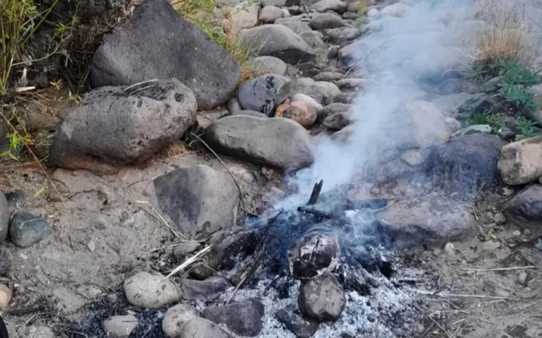 Áreas Naturales Protegidas apagó más de 370 fogones en un mes