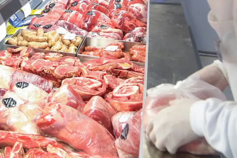 Neuquén cuestiona los cambios para el ingreso de carne con hueso a la Patagonia